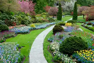 Landscape Garden at Adani Codename LIT Launching Phase 2